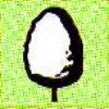 broadovoidshape