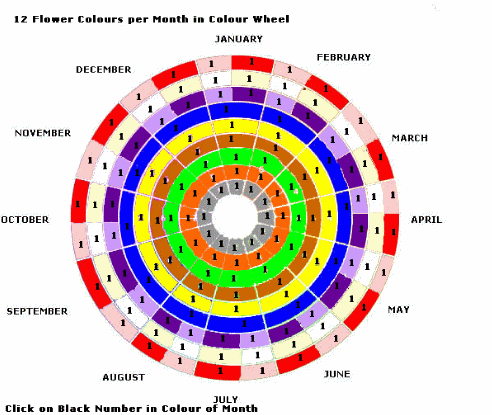 bloomsmonth2a1