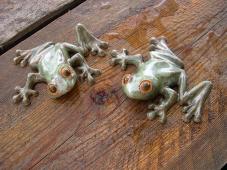 geckomantreefrogs1