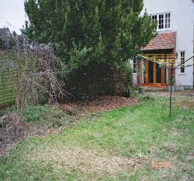 homeback 3 looking back at house before maintenance work done