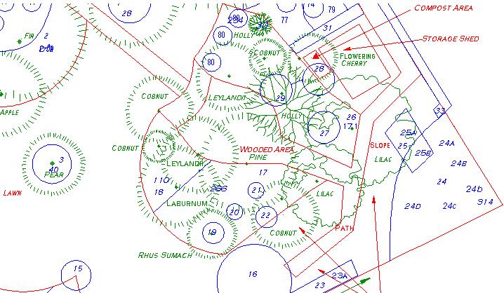 Bottom half of Proposed Planting Plan for Case 4
