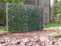 pmobilanehed10greenscreen1a