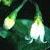 blackcflosnightshade1