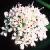 chemlockcflowaterdropwort2