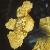 fwelshflotpoppy1