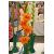 gladioluscforladyelenorencoe1