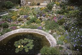 RockGarden10AlpinePlantsinJune70a