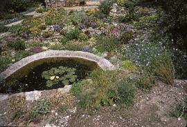 RockGarden11UpperRockGardeninJune70a