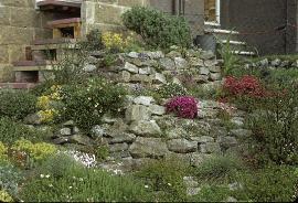 RockGarden17inMay72a