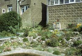 RockGarden18inMay73a