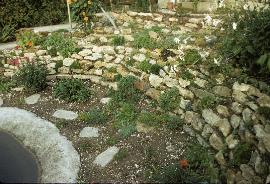 RockGarden3plantedinOctober68a