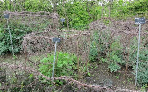 achilleafolsprgoldplatekavanagh