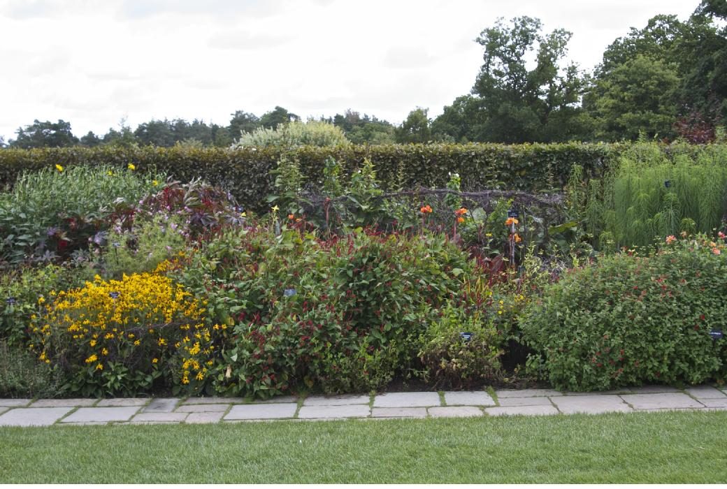 eastsec8part23autumnkavanagh