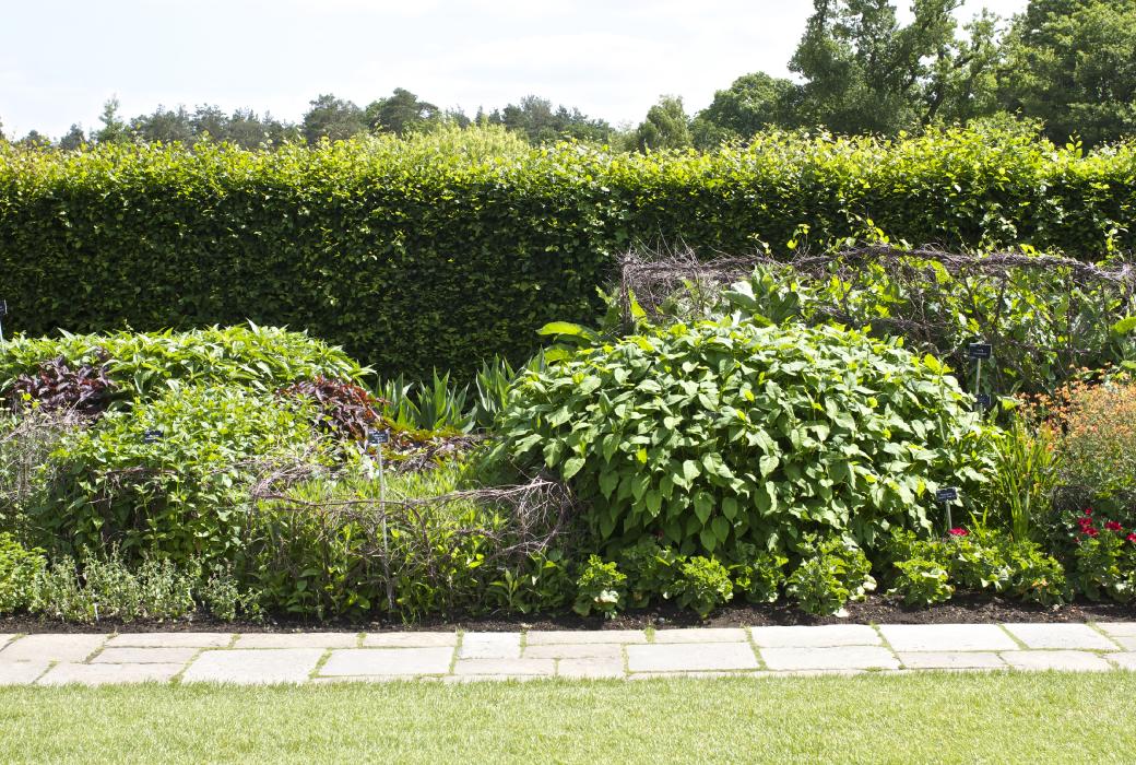 eastsec8part23earlysummerkavanagh