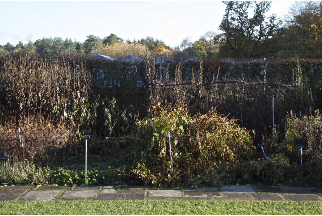 eastsec8part23lateautumnkavanagh