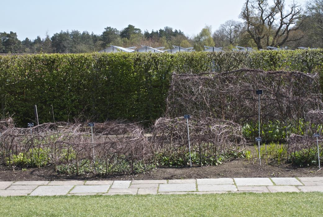 eastsec8part23springkavanagh1