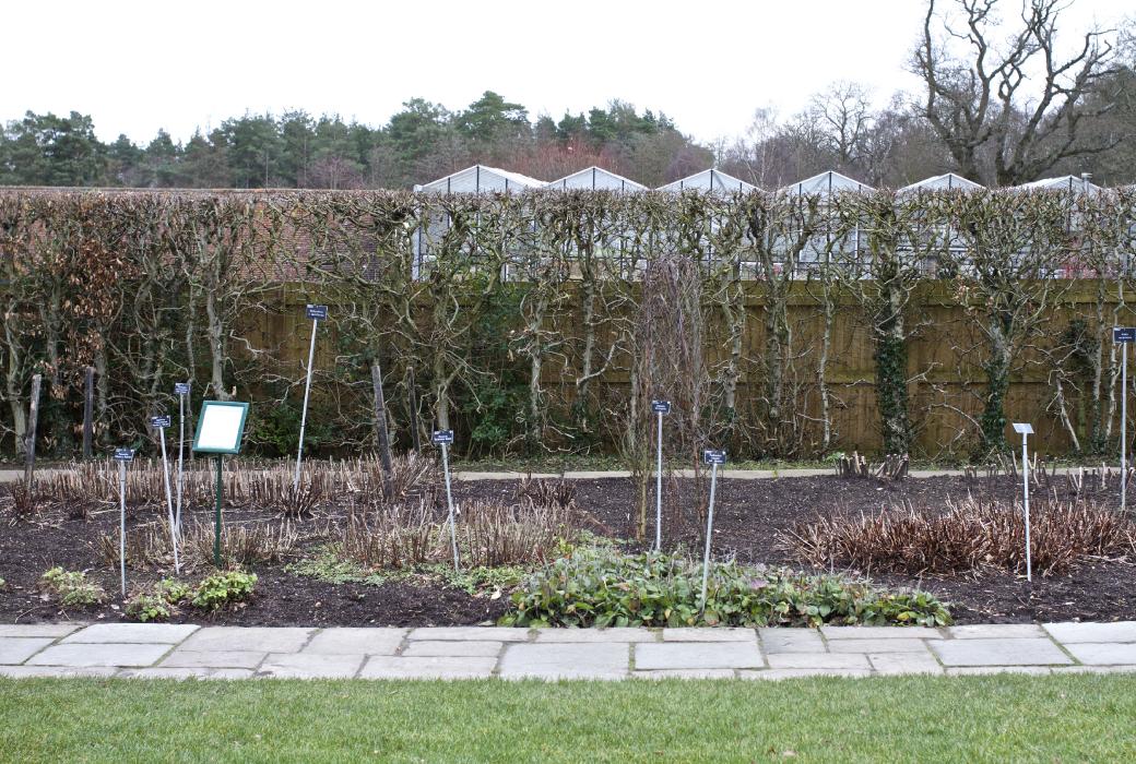 eastsec8part23winterkavanagh