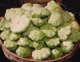 cucurbitacfruspepowikimediacommons