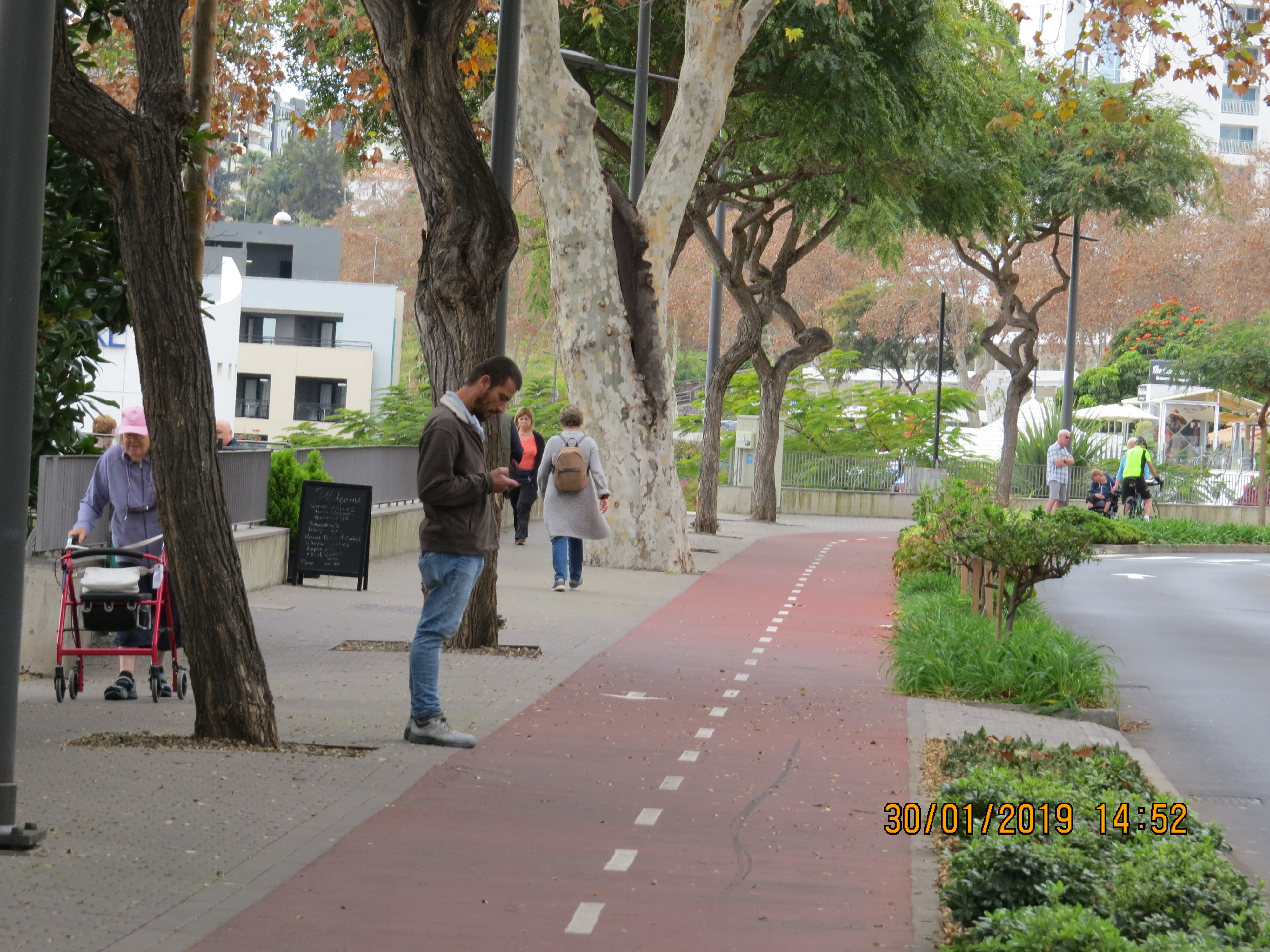 tree34fromendof2roadjunctionviewbacktopreviousroadsectionIMG6274