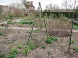 hIMG2034indexrosetripodsupportsystemsissinghurstplantgarnonswilliams