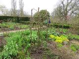 iIMG5529indexrosessupportsissinghurstgarnonswilliams