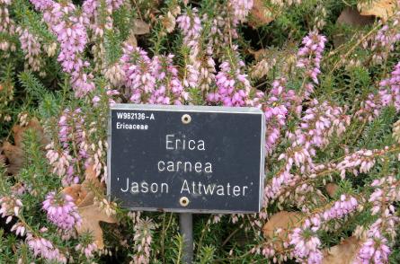 Ericacarneajasonattwaterlabelgarnonswilliams