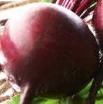 pbeetrootfoo1bolthardy