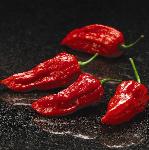 pchillipepperfoos1bhutjolokiafieryfurnace