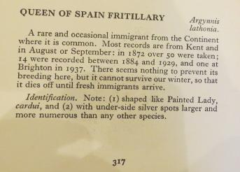 queenofspainfritillarycommentssandars