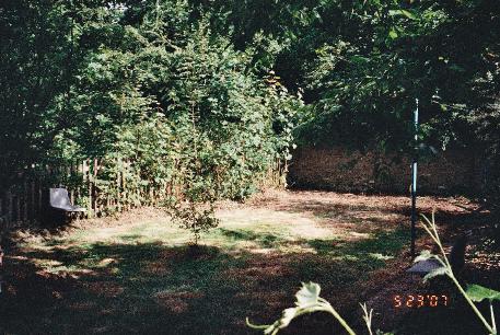 gardenfortoplondonflat3