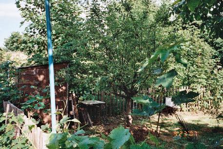gardenfortoplondonflat4