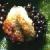 cmalefrutfern1